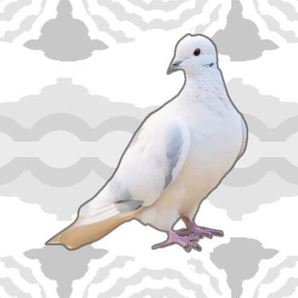 Doveidentity